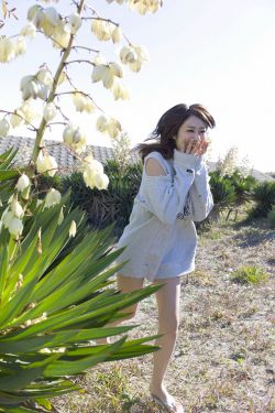 姐妹7完整版
