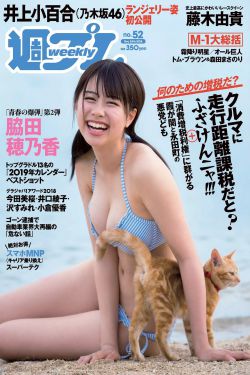 古相思曲电视剧免费观看
