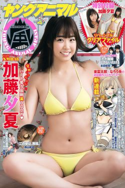 xl上司动漫